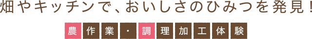 農作業・調理加工体験