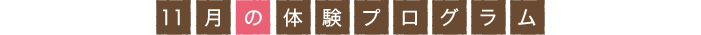 11月の体験プログラム