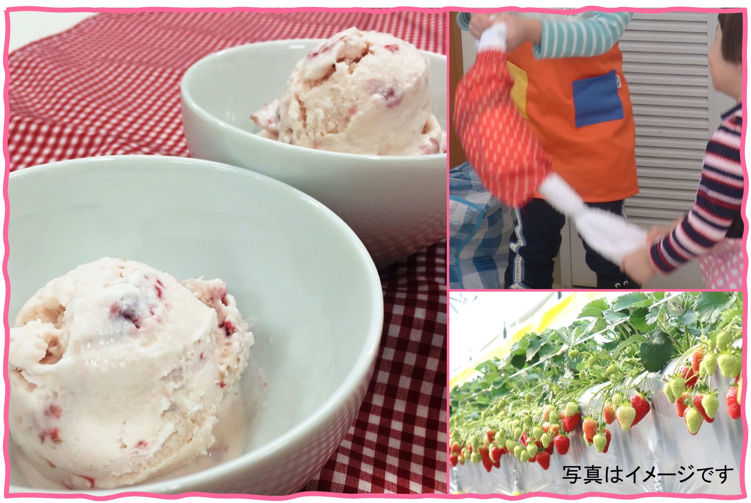 いちごを収穫してアイスを作ろう
