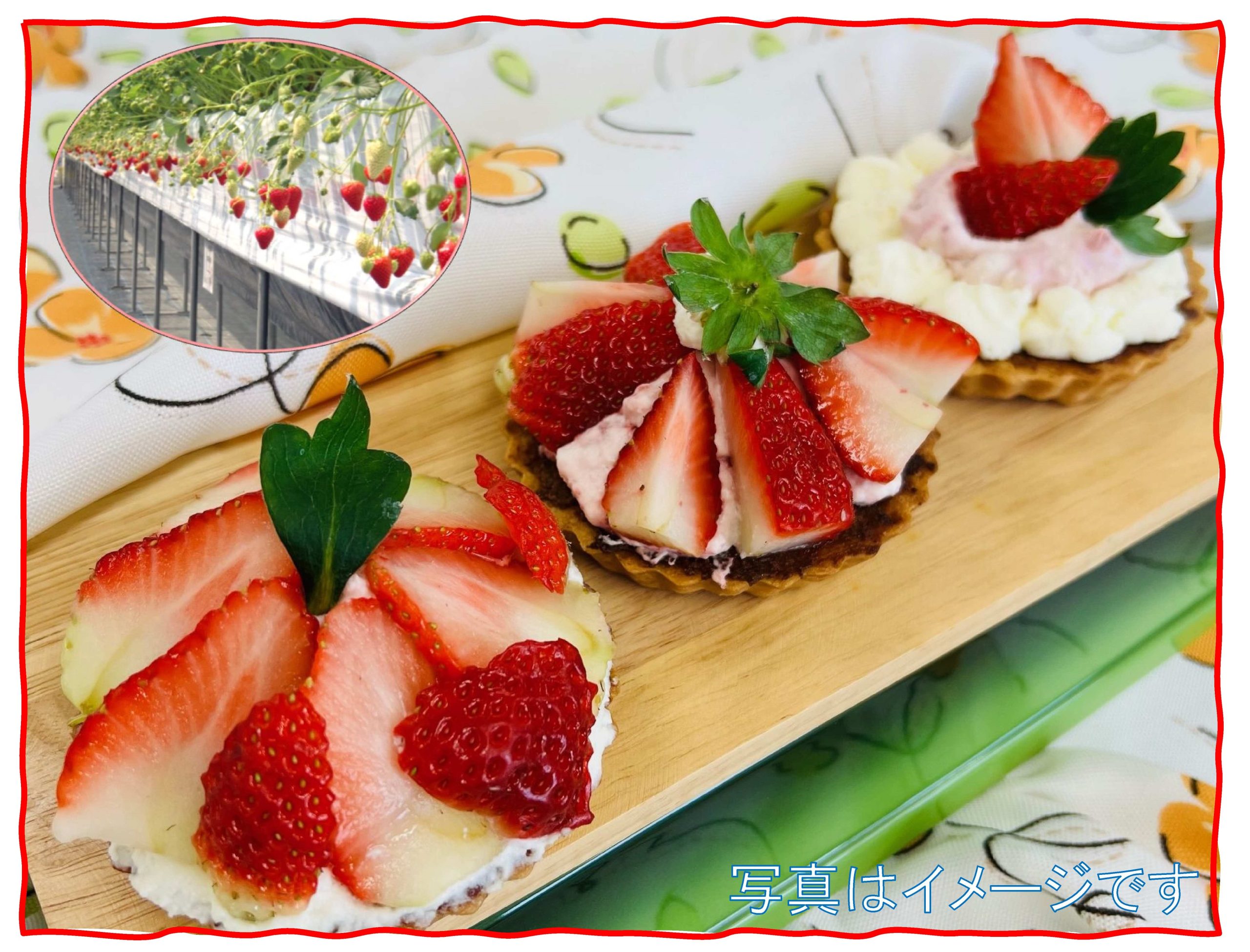 【GW企画】 いちごを収穫してかんたんミニタルトを作ろう