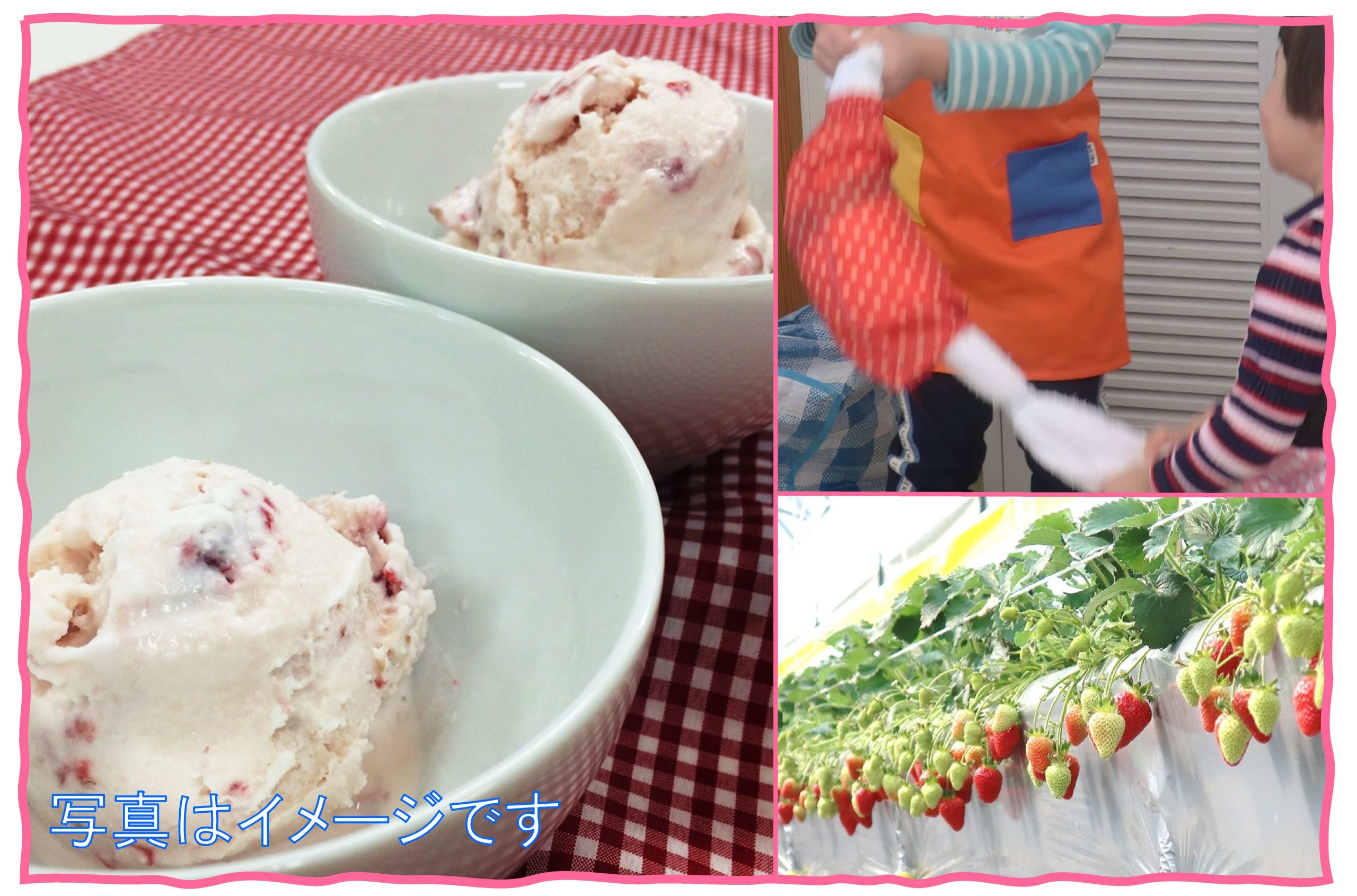 いちごを収穫してアイスを作ろう