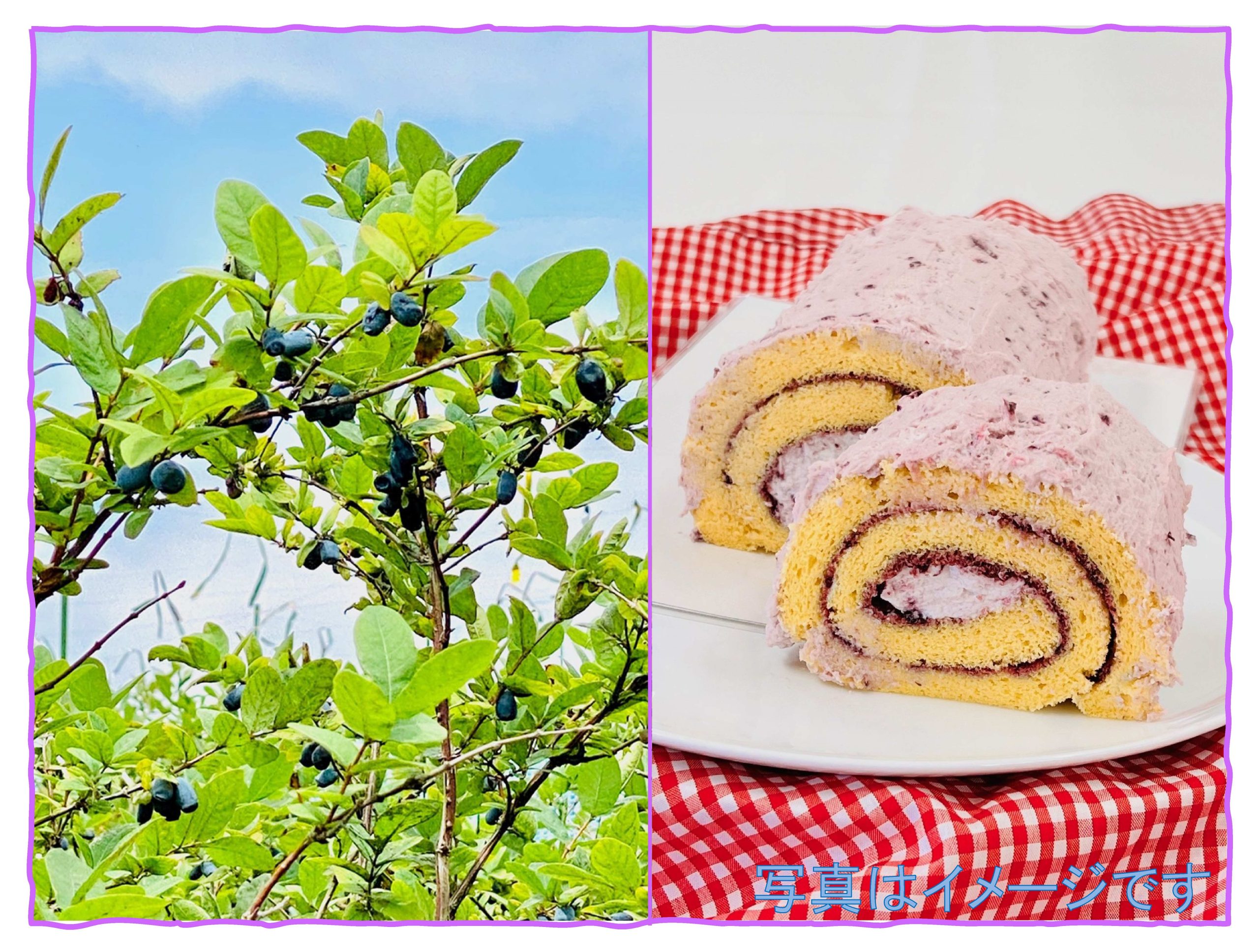 ハスカップの米粉ロールケーキを作ろう