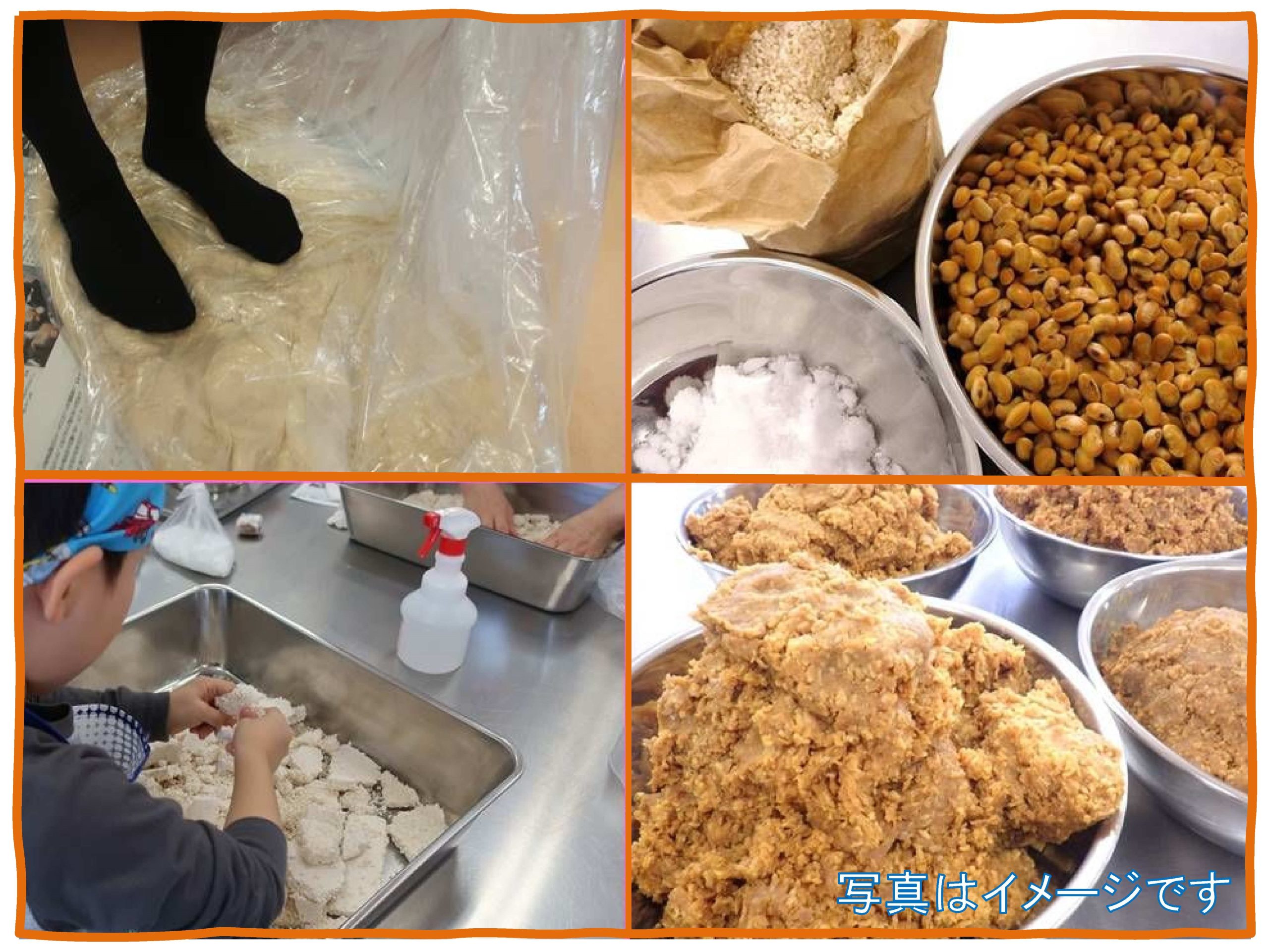 手作り味噌を作ってみよう