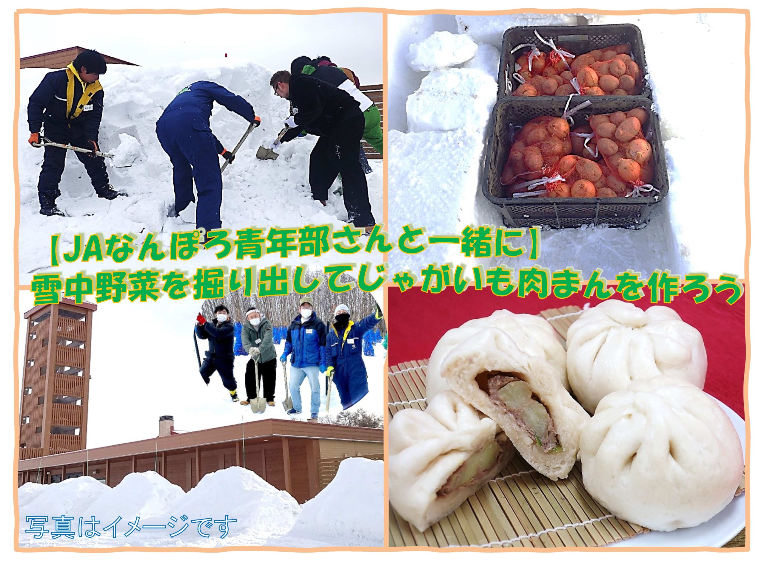 【JAなんぽろ青年部さんと一緒に】 雪中野菜を掘り出して じゃがいも肉まんを作ろう