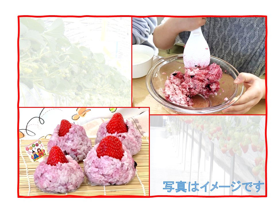 【ひな祭り企画】 ハスカップで桜餅風おはぎを作ろう （いちご収穫付）