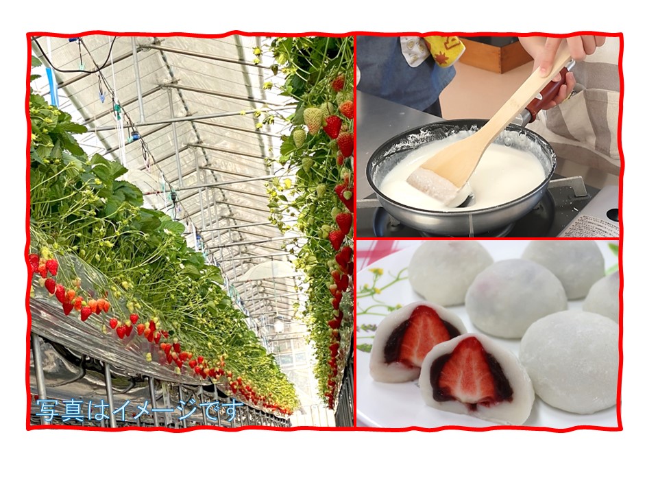 いちごを収穫していちご大福を作ろう