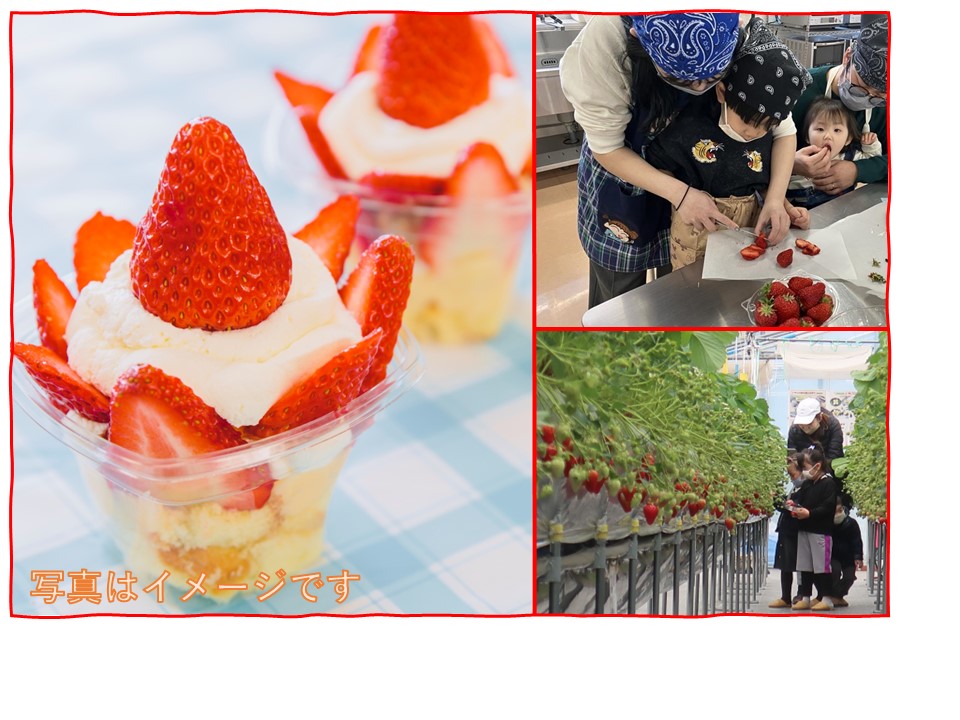 【GW企画】いちごを収穫していちごのカップケーキを作ろう