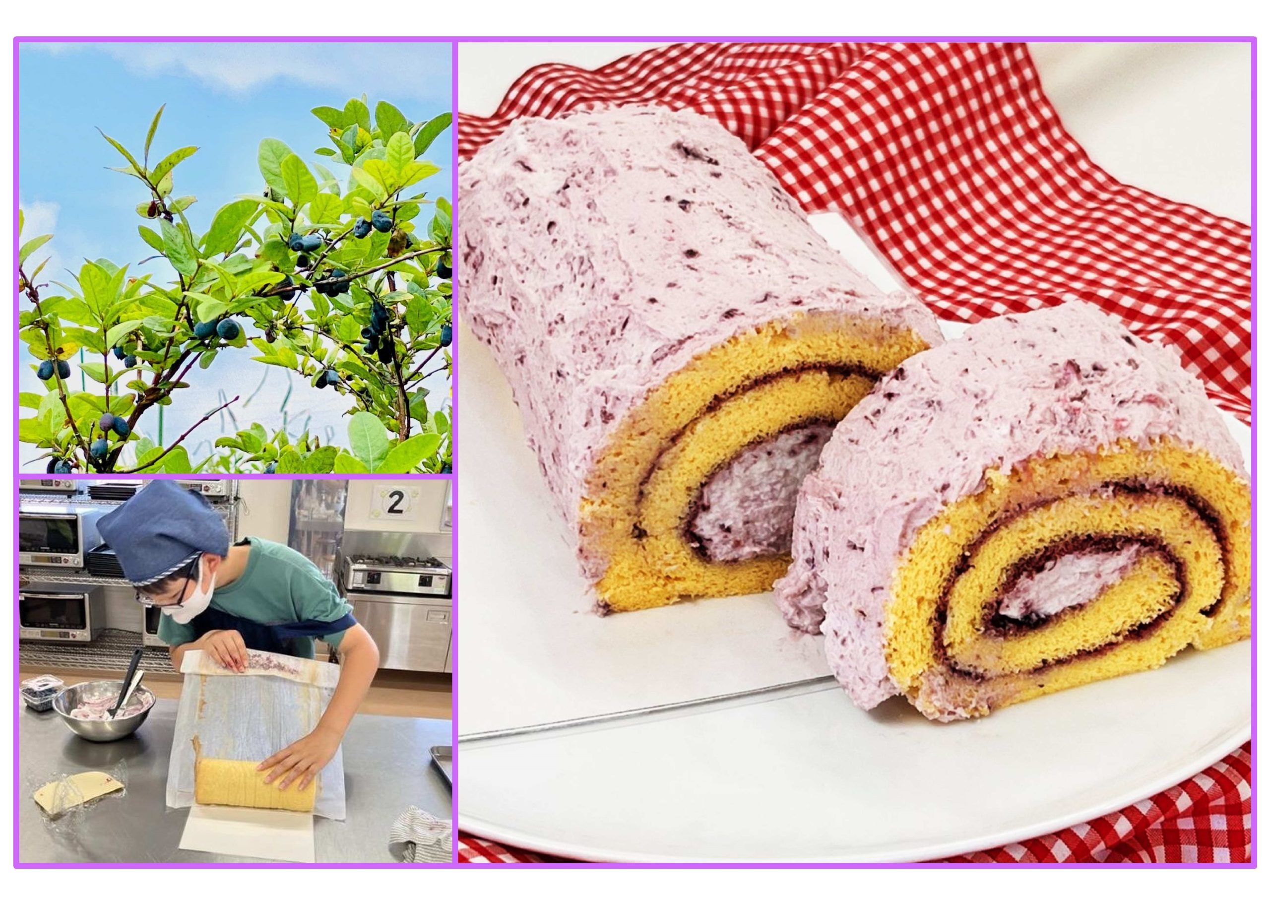 ハスカップの米粉ロールケーキを作ろう