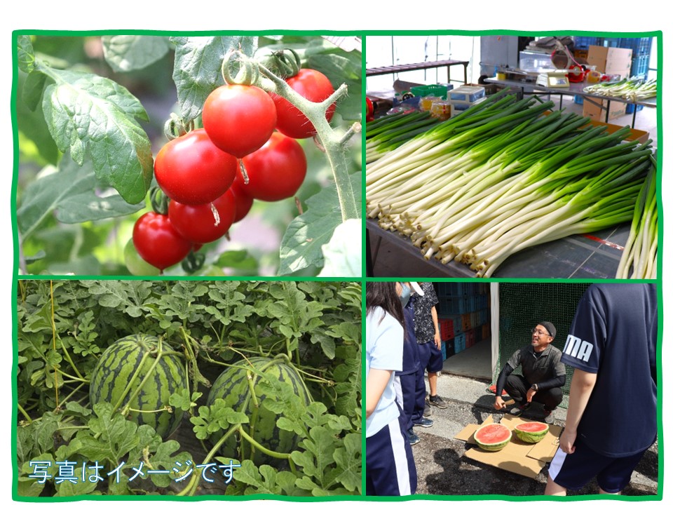 JAなんぽろ青年部さんに教わる 野菜の収穫体験ツアー